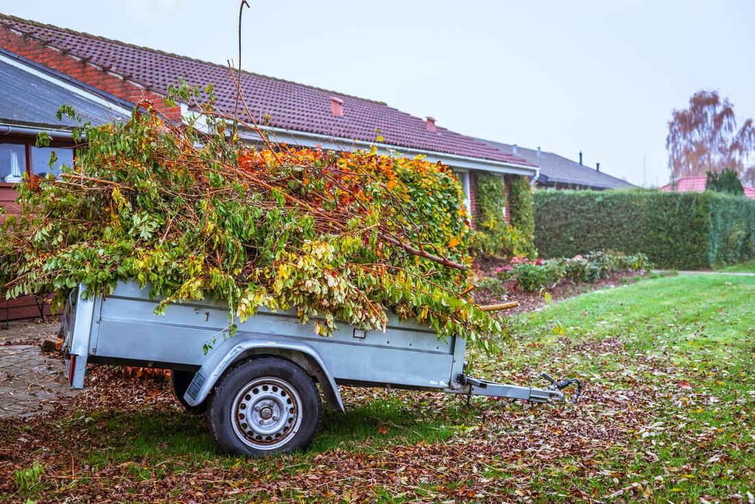 Property Cleanup Dumpster Services-Colorado Dumpster Services of Longmont